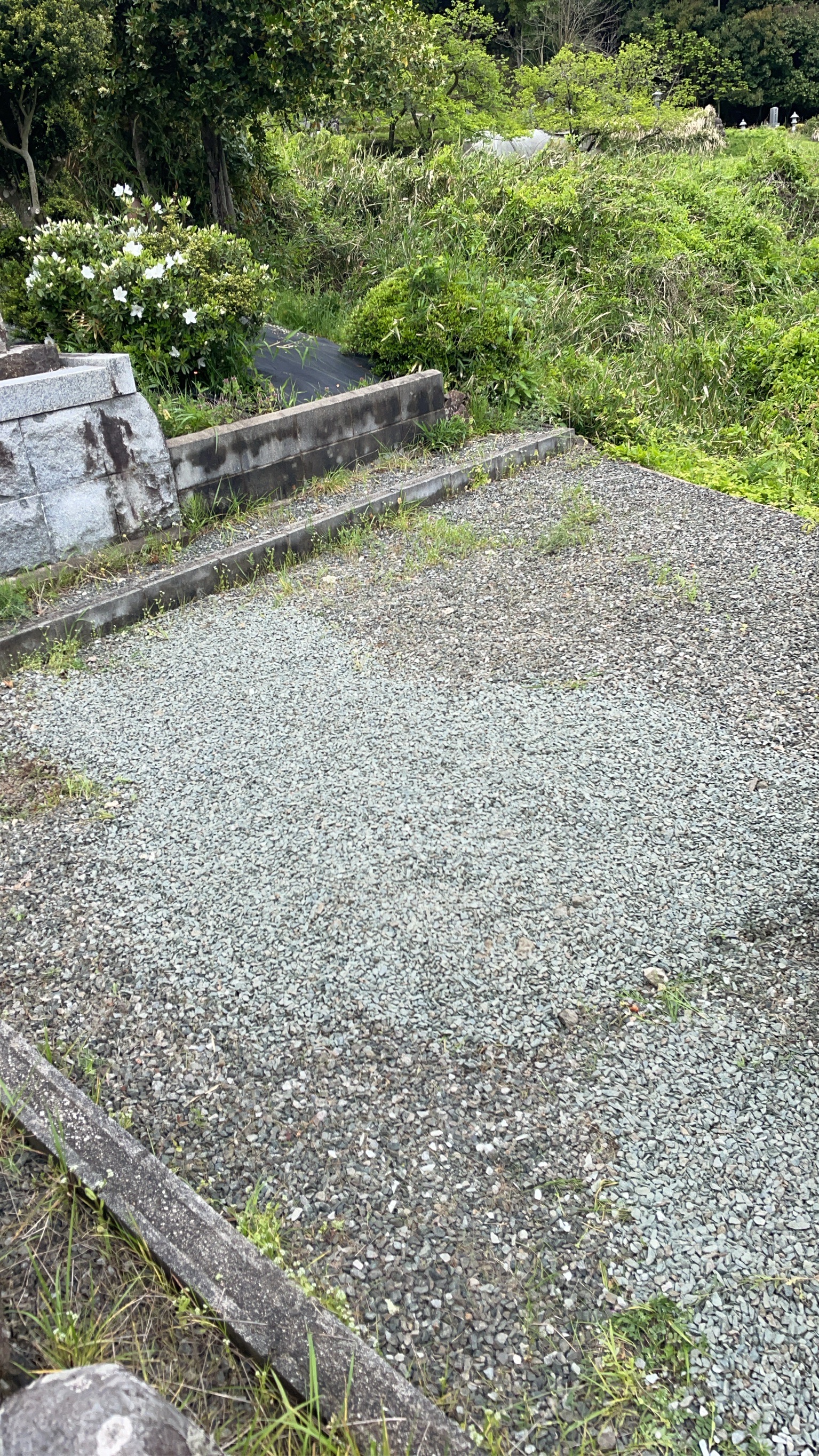 撤去完了後の墓地